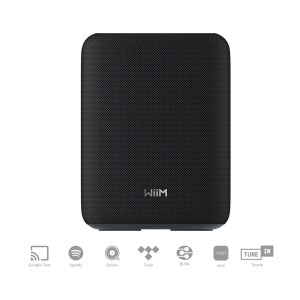 smart speaker wiim sound lite